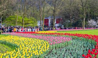 杭州最帅公交车司机 杭州最帅公交车司机